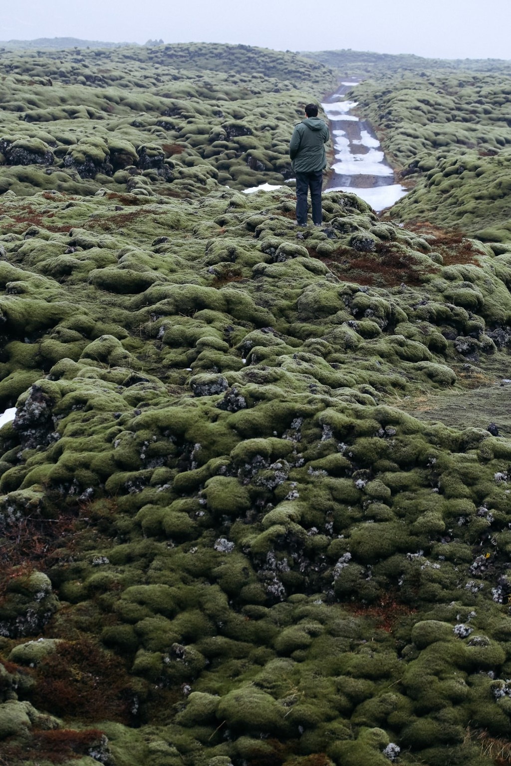 canh dong dung nham reu Eldhraun anh 7