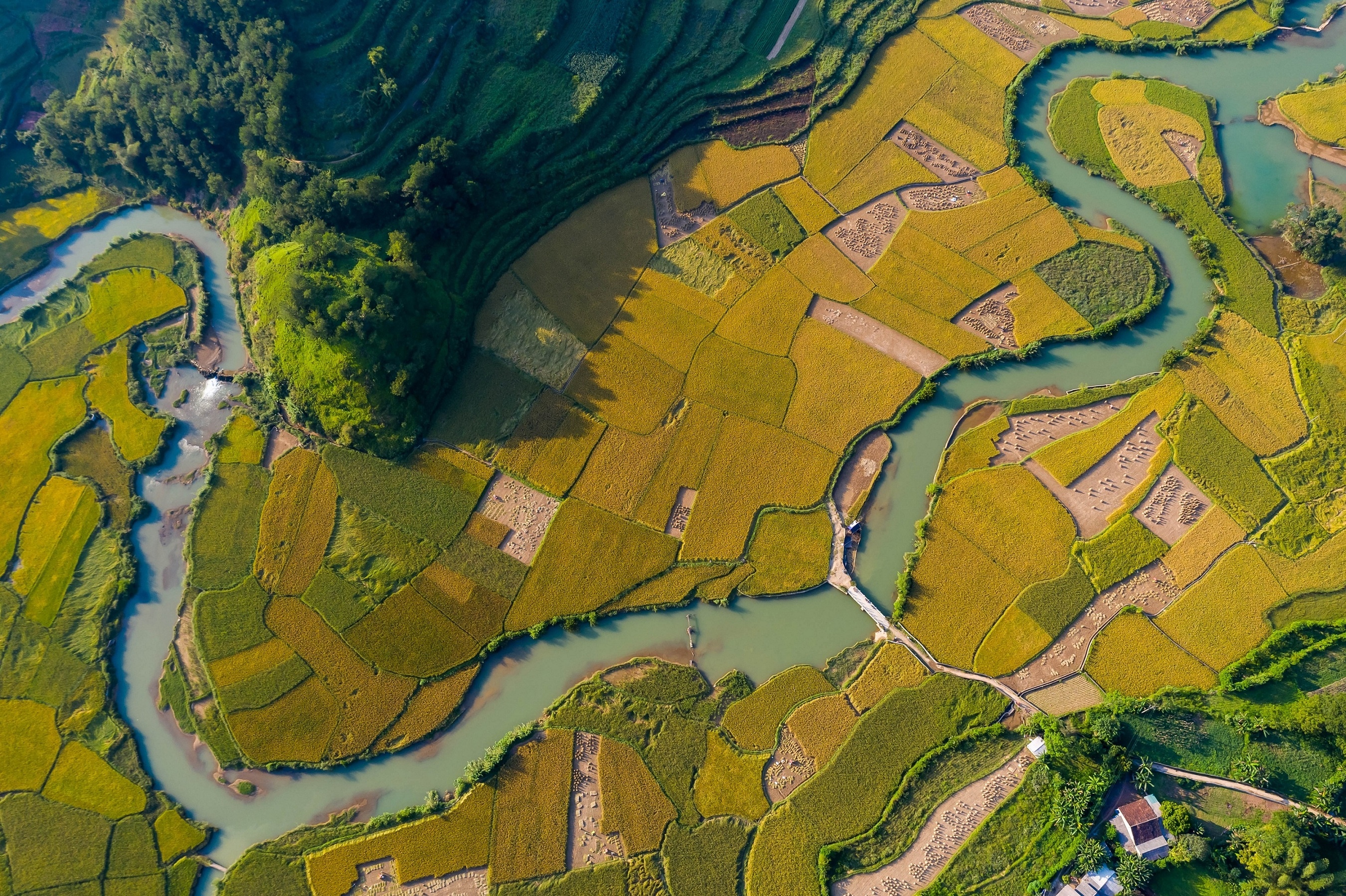 thac Ban Gioc mua lua chin anh 14