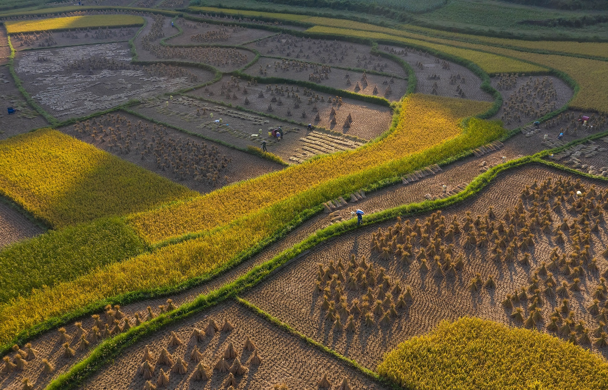 thac Ban Gioc mua lua chin anh 16