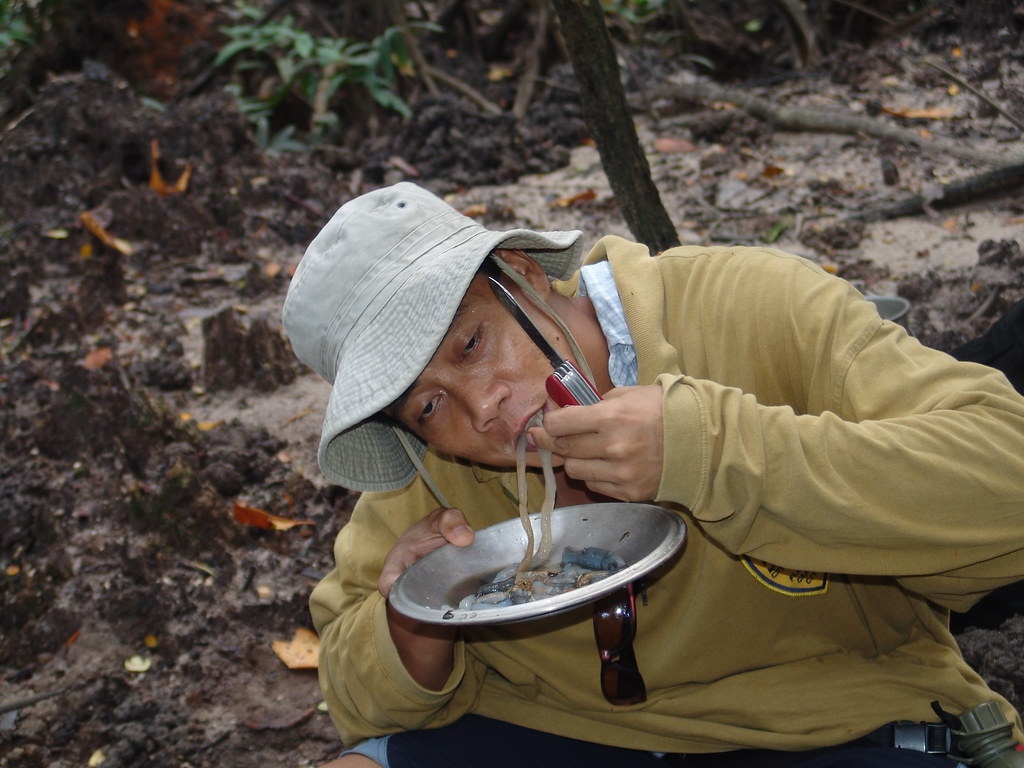 Sau go Philipines anh 6