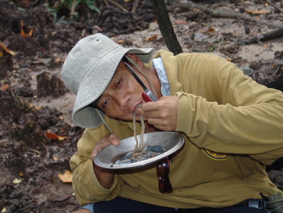 Sau go trong than cay muc - mon an la o Philippines hinh anh