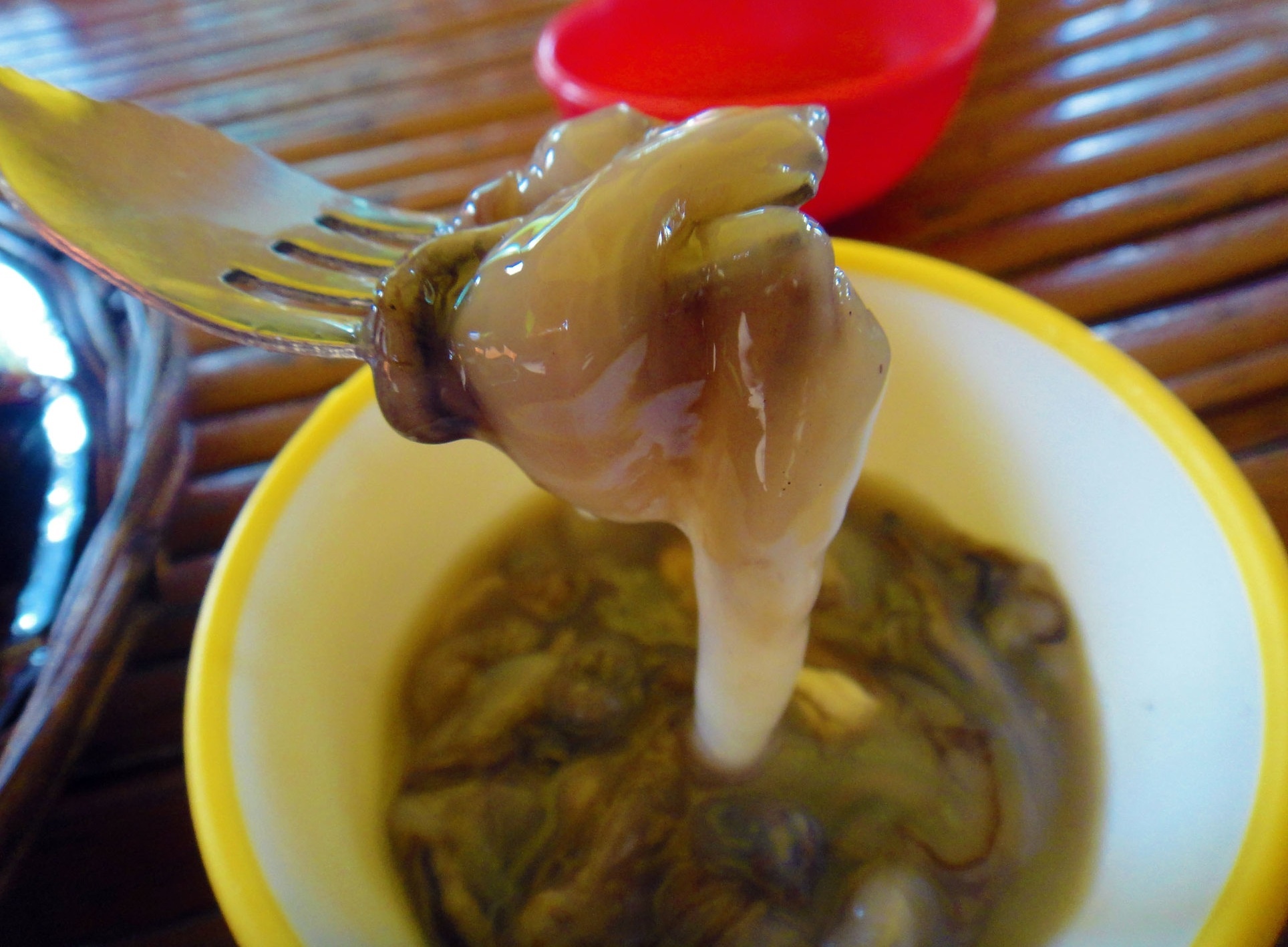 Sau go Philipines anh 8