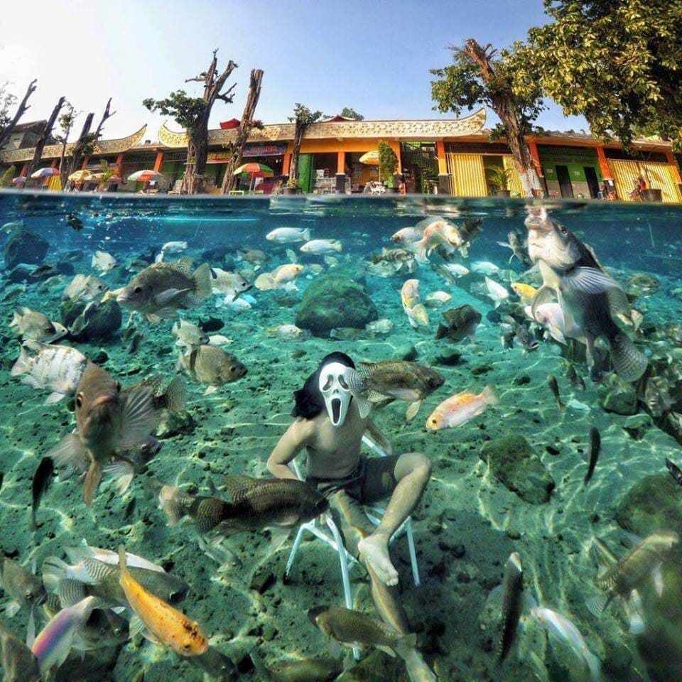 ao Umbul Ponggok anh 2