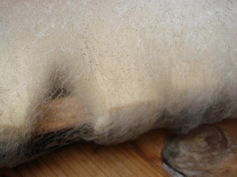 Dau phu de moc, moc long dai o Trung Quoc duoc lam ra sao hinh anh