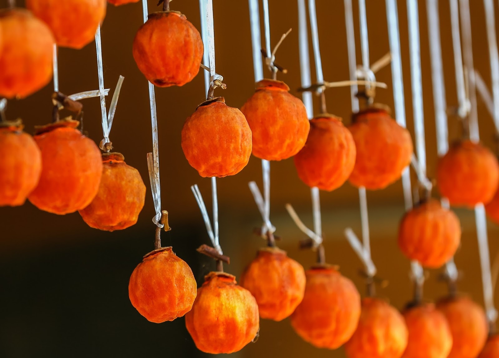 mon ngon mua thu anh 6