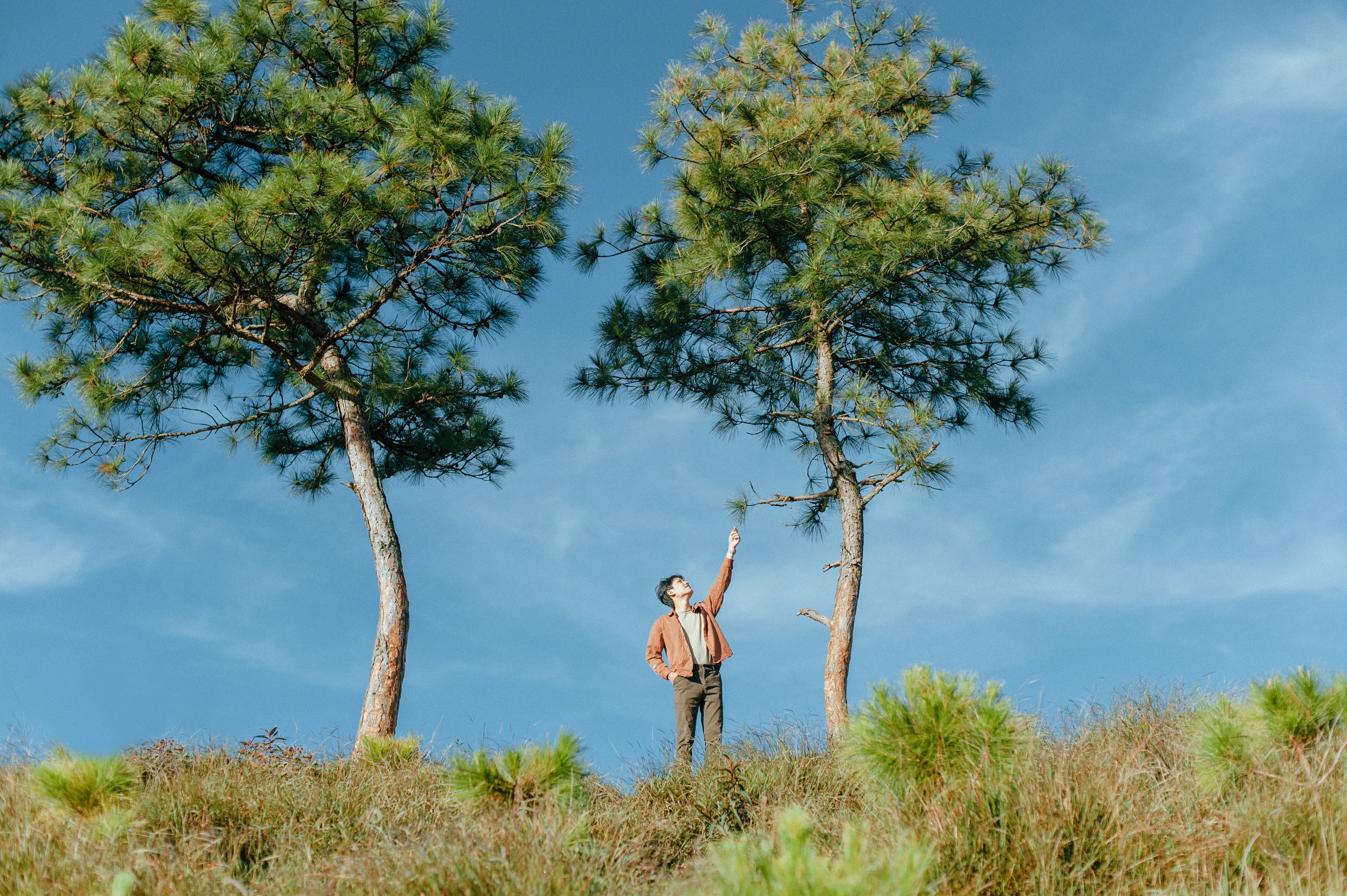 mùa thu Đà Lạt ảnh 19 mua thu Da Lat anh 19