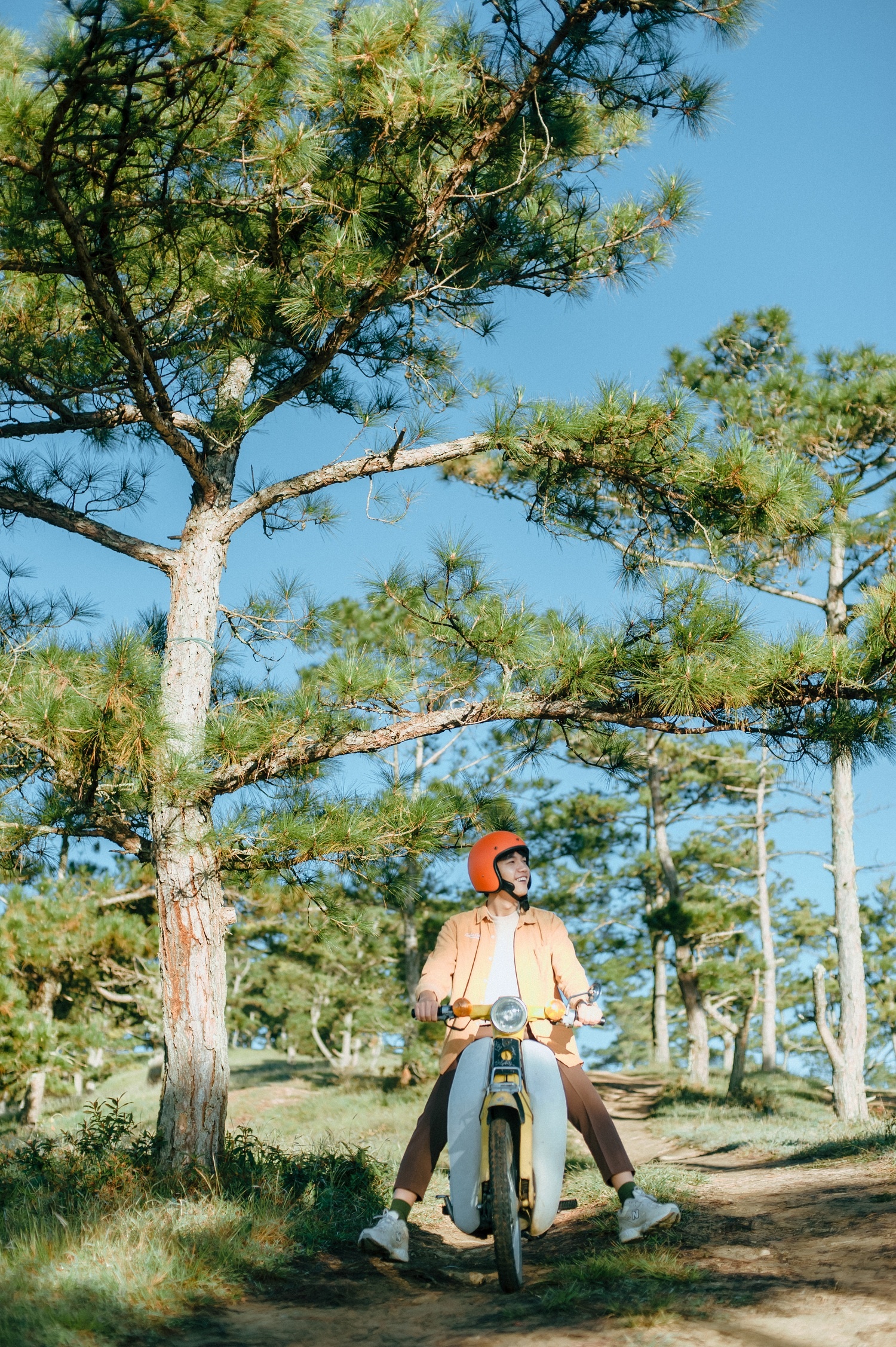 mùa thu Đà Lạt ảnh 3 mua thu Da Lat anh 3