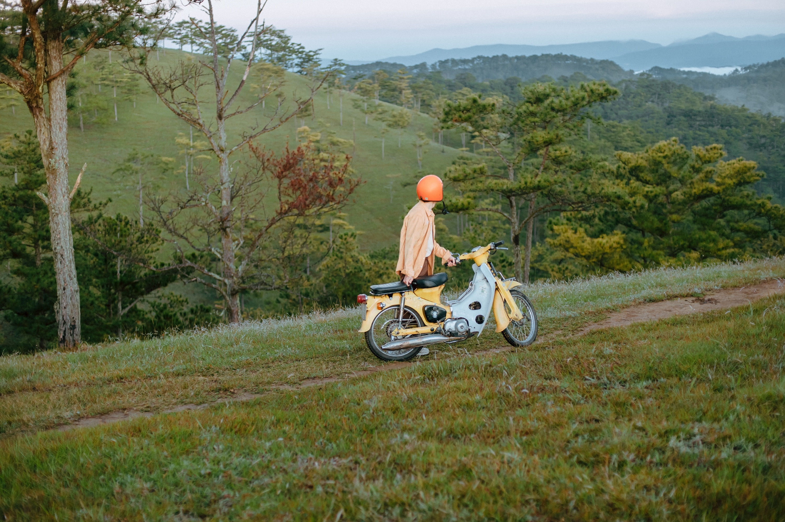 mùa thu Đà Lạt ảnh 8 mua thu Da Lat anh 8