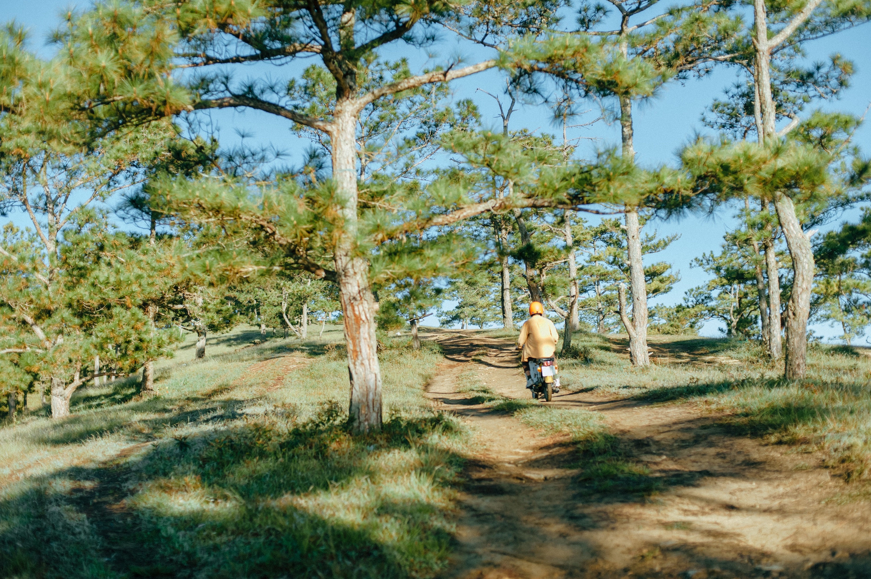 mùa thu Đà Lạt ảnh 7 mua thu Da Lat anh 7