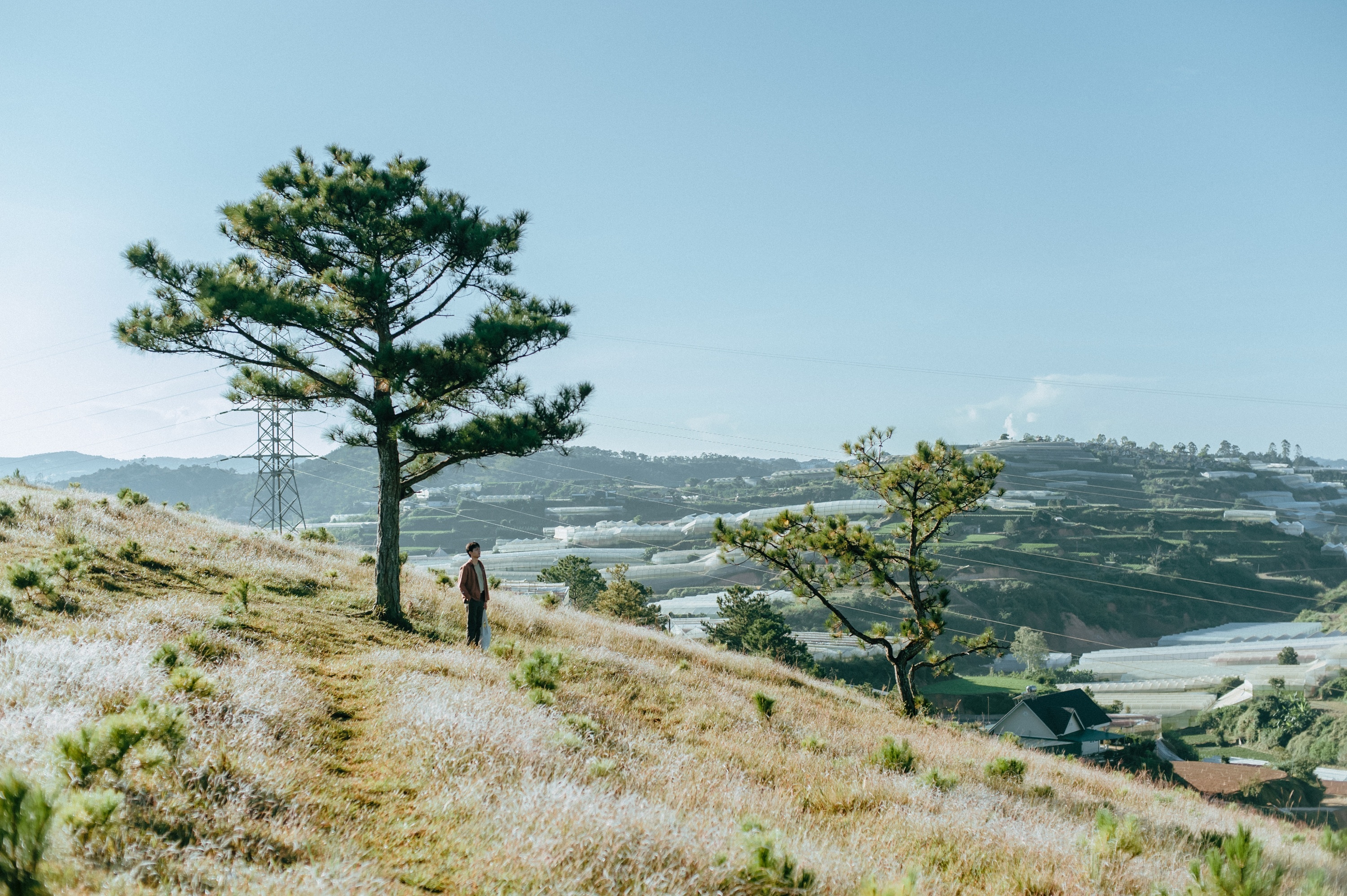 mùa thu Đà Lạt ảnh 12 mua thu Da Lat anh 12