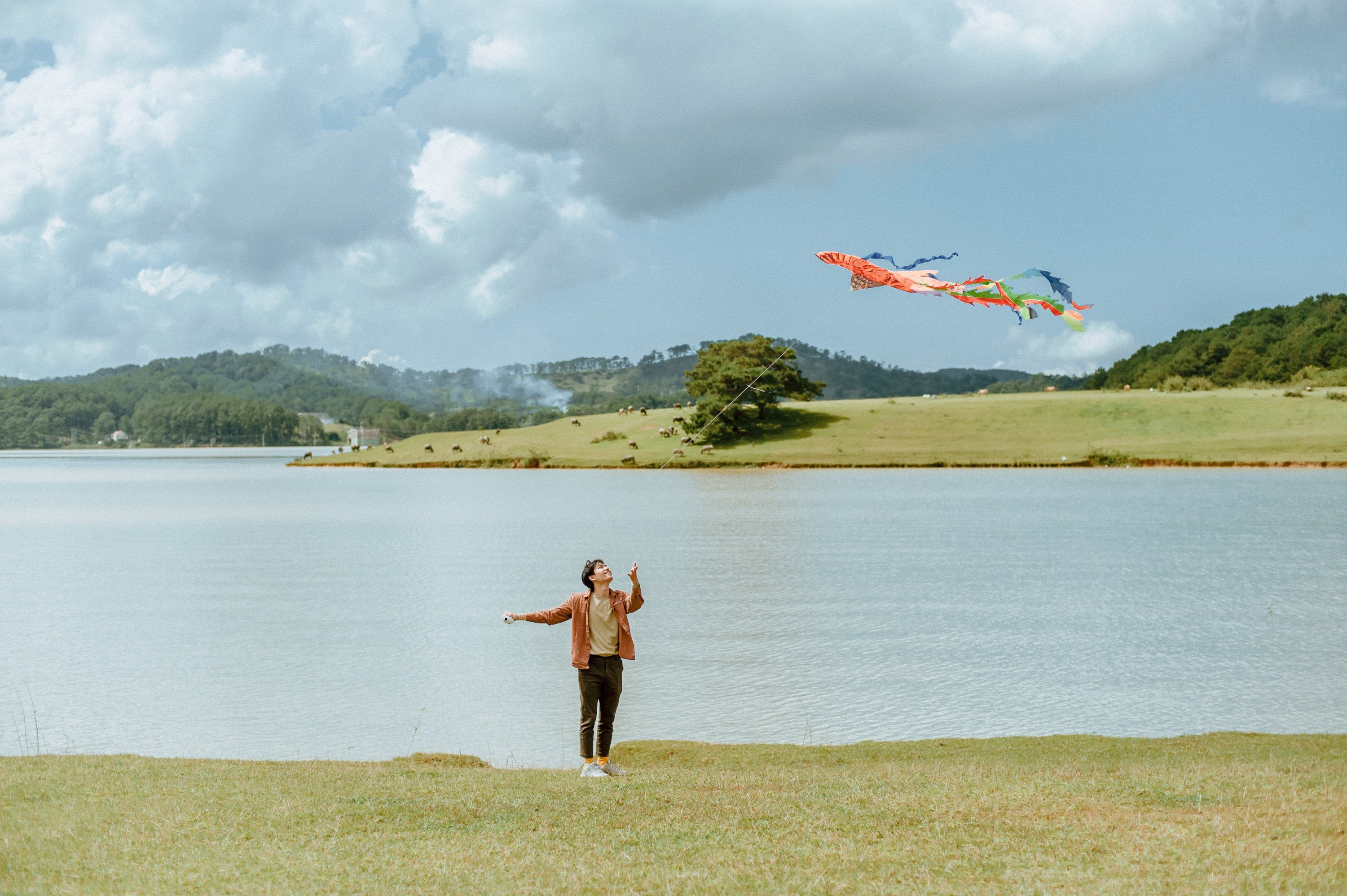 mùa thu Đà Lạt ảnh 14 mua thu Da Lat anh 14