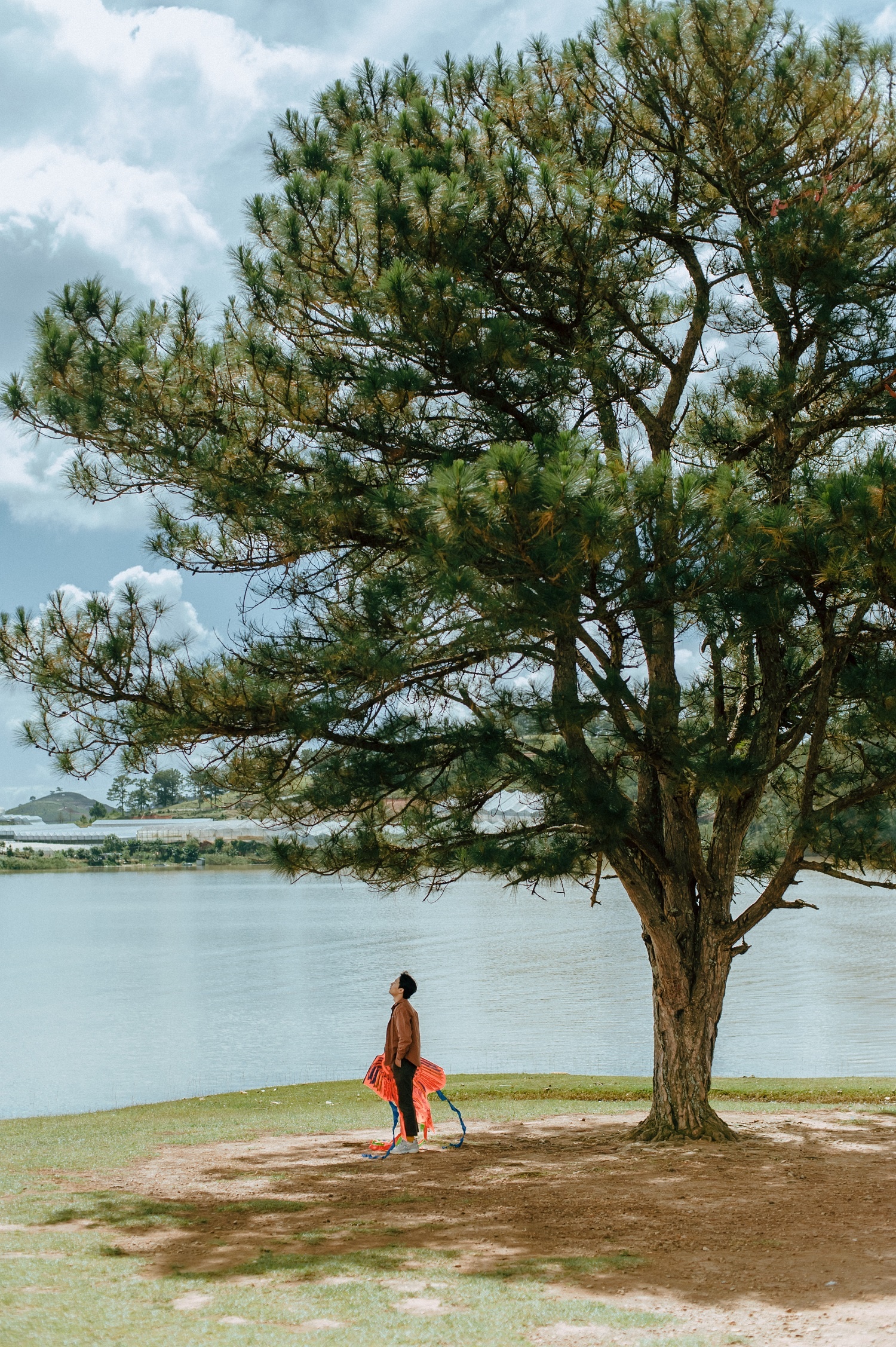 mùa thu Đà Lạt ảnh 15 mua thu Da Lat anh 15