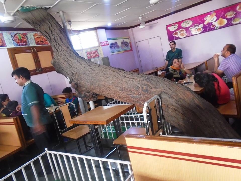 nha hang co 12 quan tai anh 4