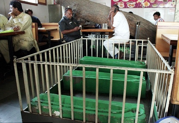 nha hang co 12 quan tai anh 11