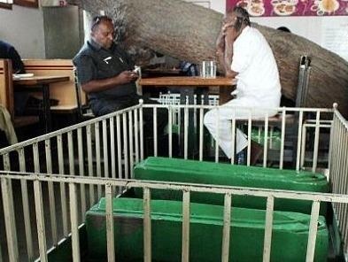 An ben canh nguoi chet tai nha hang co 12 quan tai o An Do hinh anh