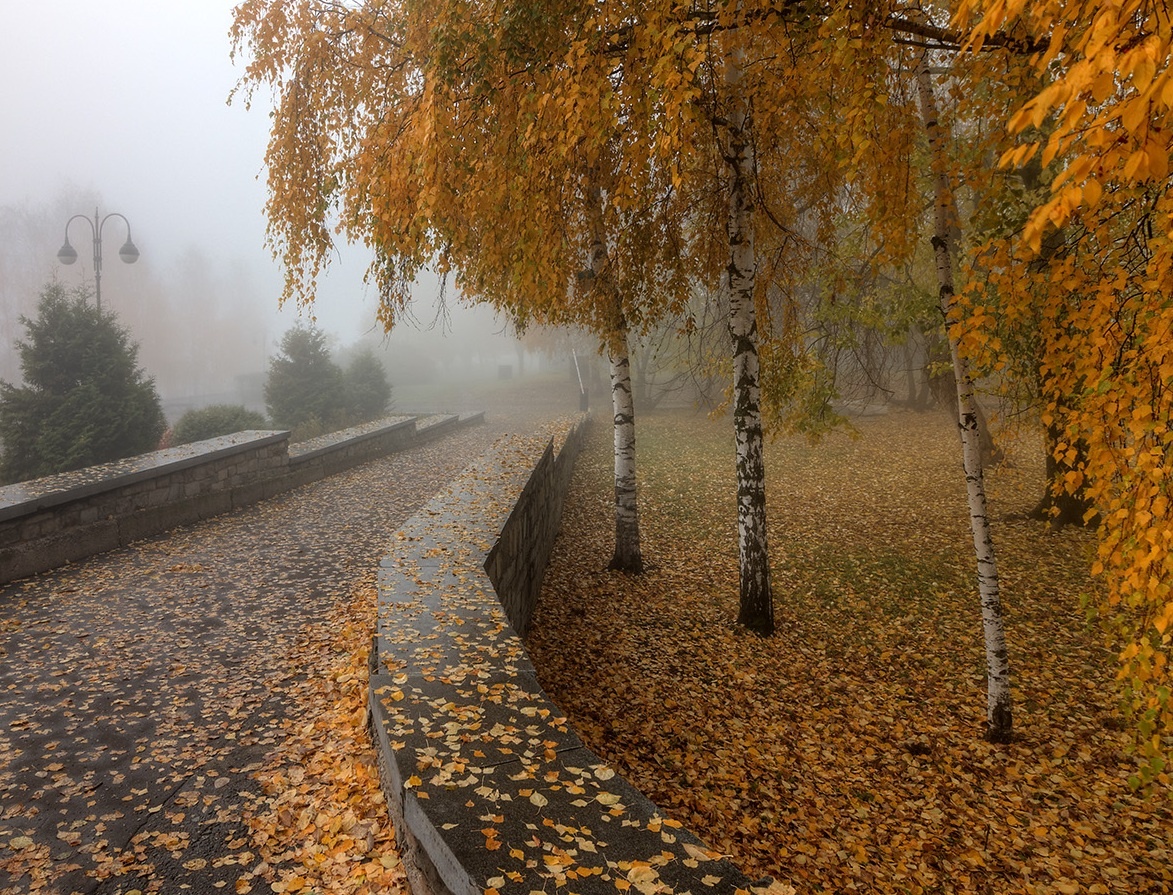 mua thu nuoc Nga anh 5