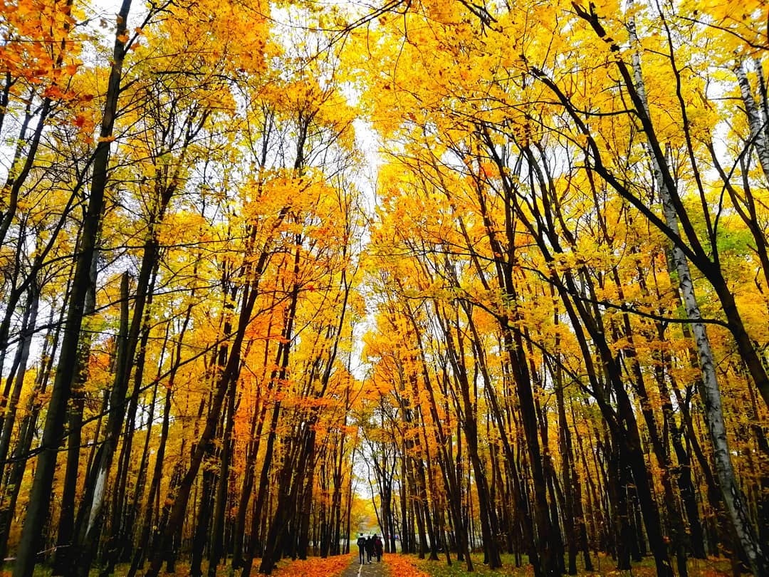 mua thu nuoc Nga anh 16