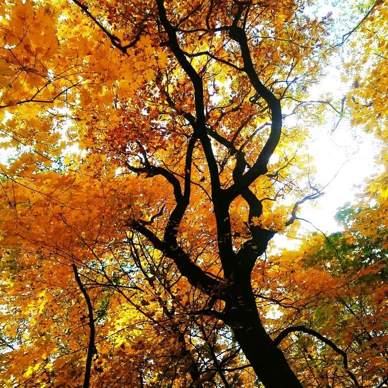 mua thu nuoc Nga anh 17