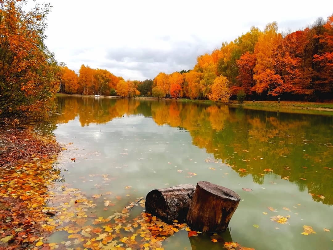 mua thu nuoc Nga anh 20