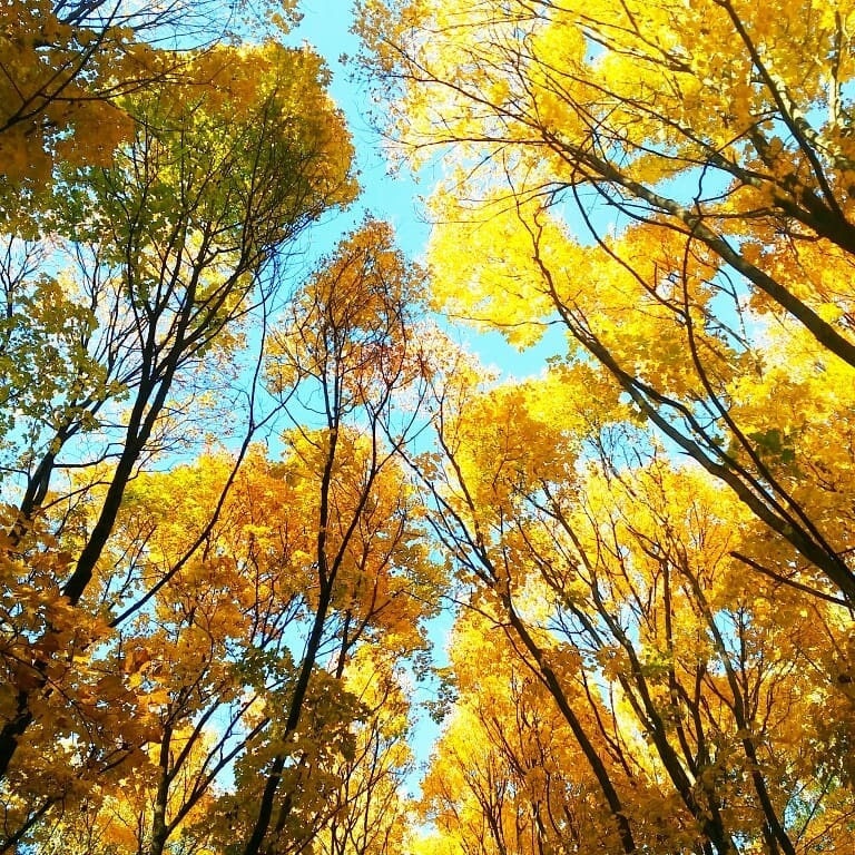 mua thu nuoc Nga anh 21