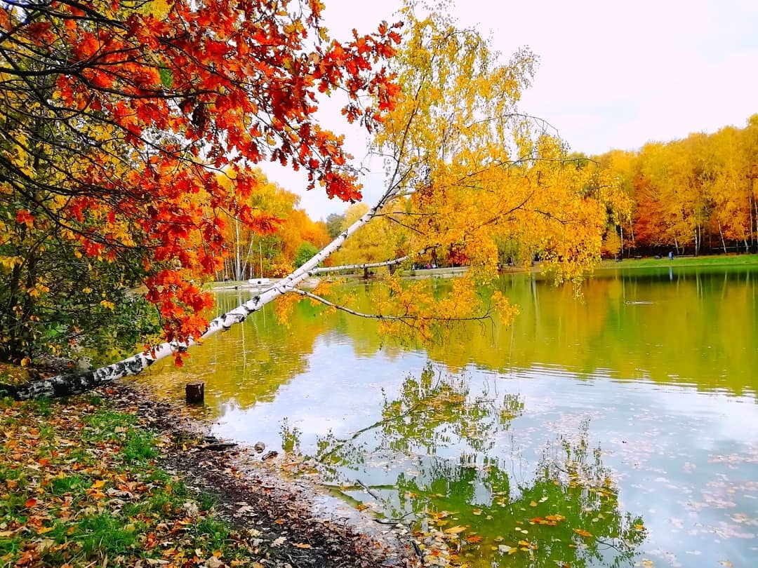 mua thu nuoc Nga anh 19