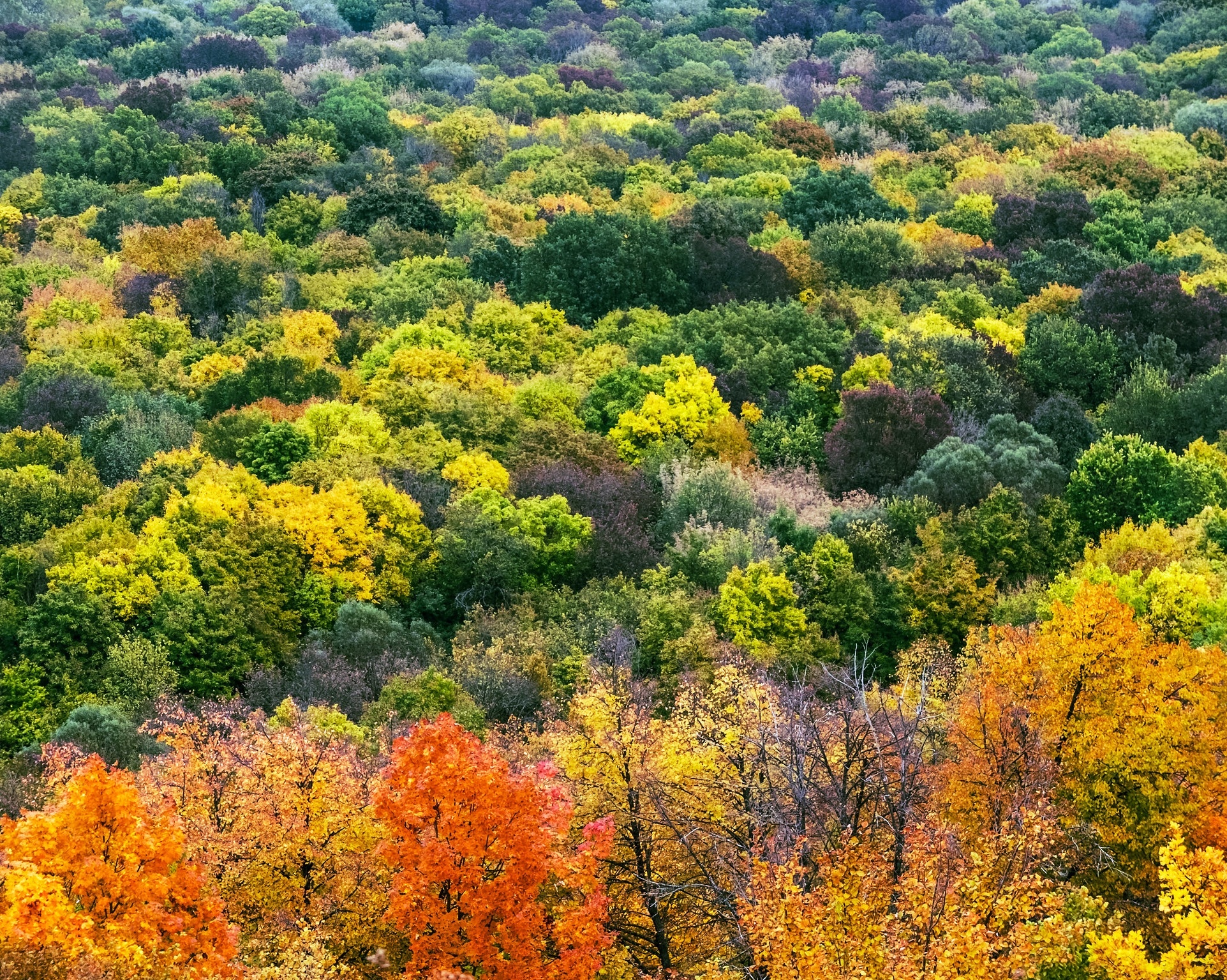 mua thu nuoc Nga anh 8