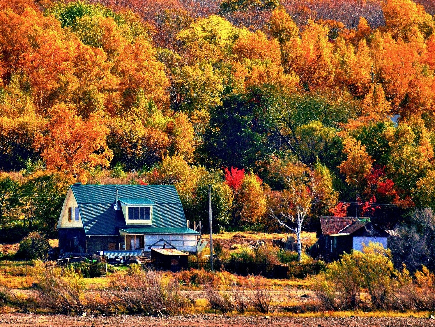mua thu nuoc Nga anh 7