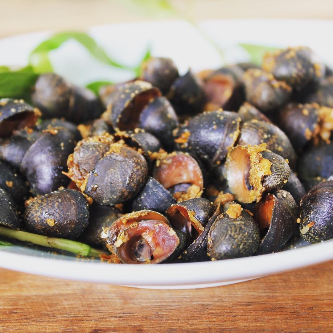 oc ngon Ha Noi anh 11