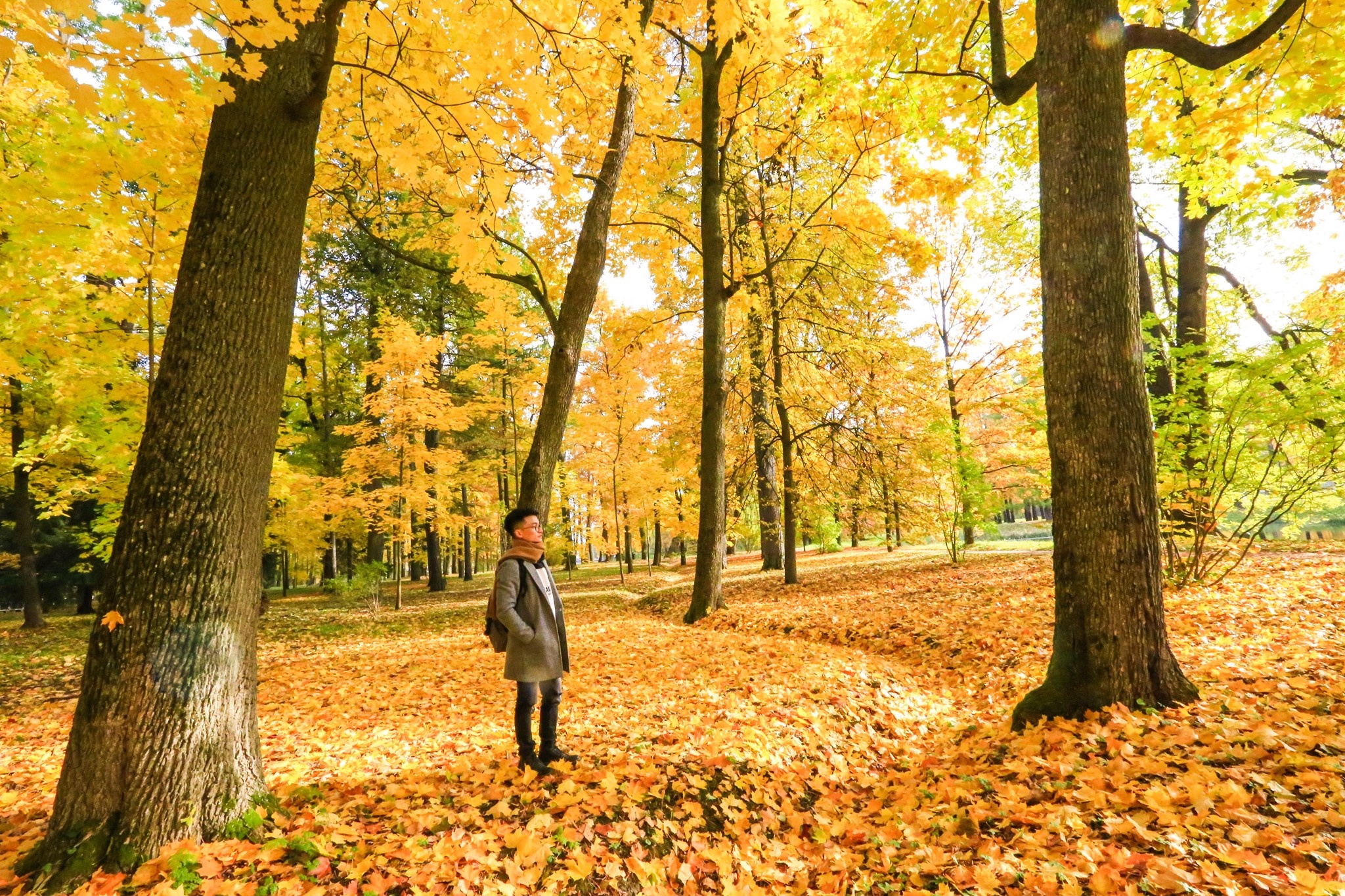 mùa thu ở Saint Petersburg ảnh 19 mua thu o Saint Petersburg anh 19