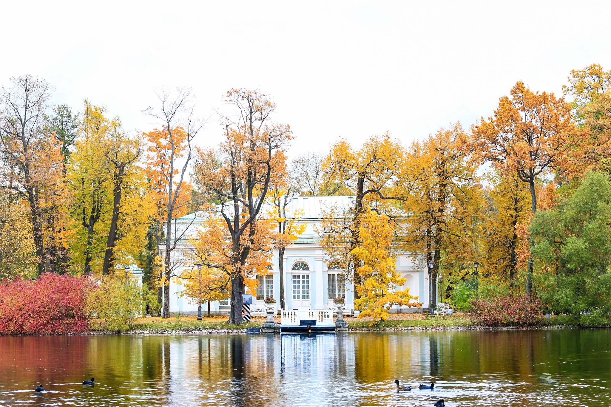 mùa thu ở Saint Petersburg ảnh 38 mua thu o Saint Petersburg anh 38