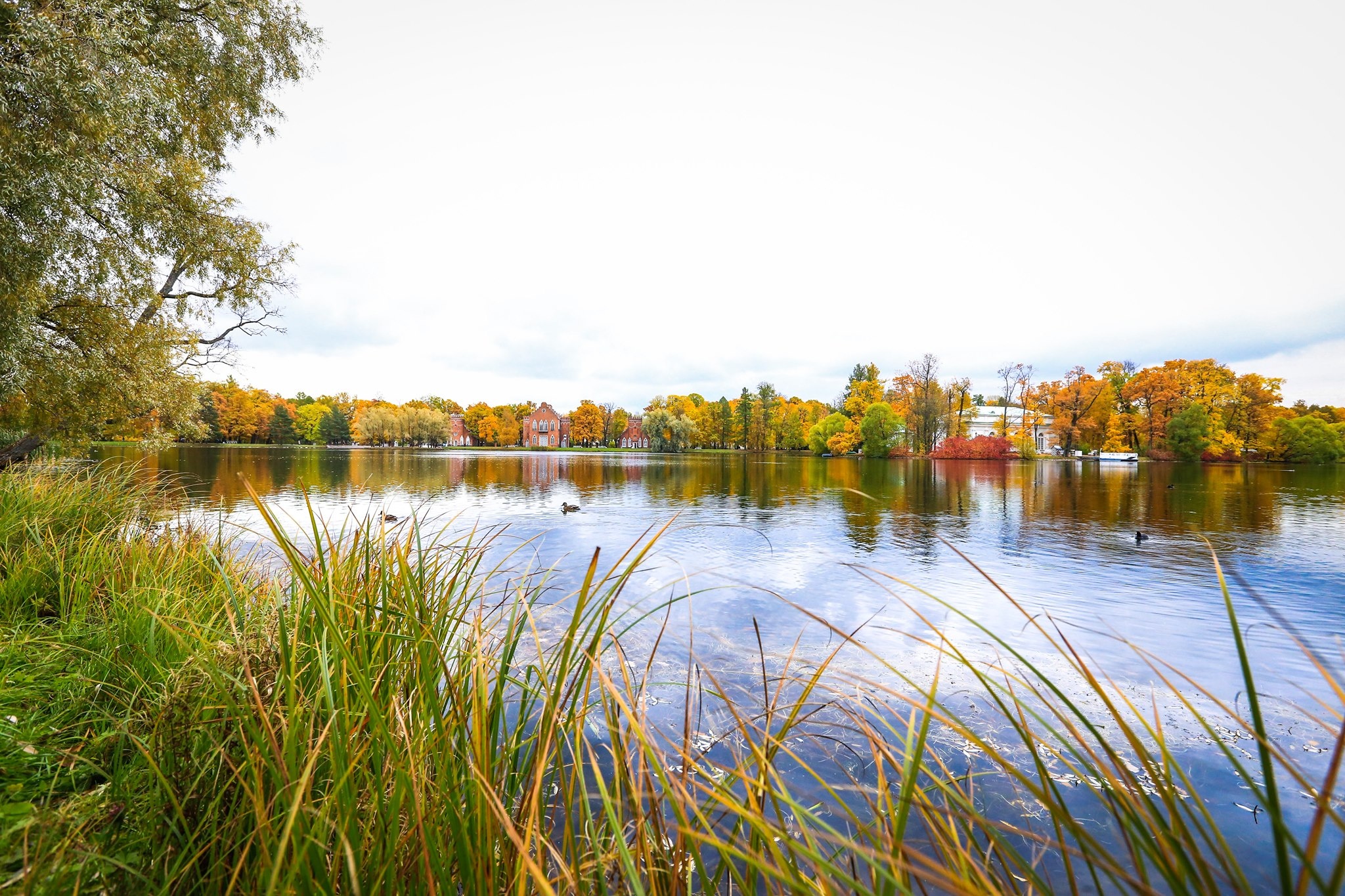 mùa thu ở Saint Petersburg ảnh 36 mua thu o Saint Petersburg anh 36