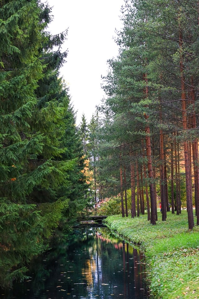 mùa thu ở Saint Petersburg ảnh 24 mua thu o Saint Petersburg anh 24