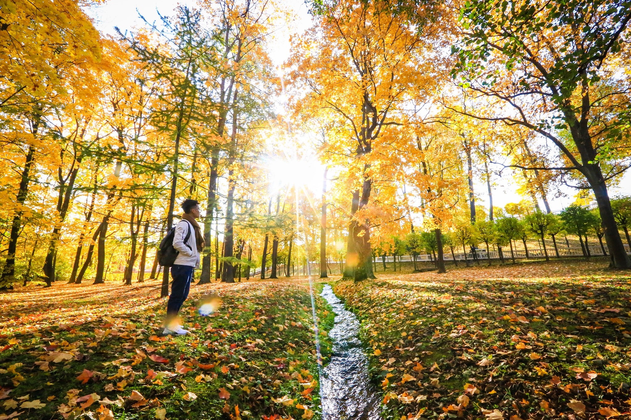 mùa thu ở Saint Petersburg ảnh 26 mua thu o Saint Petersburg anh 26