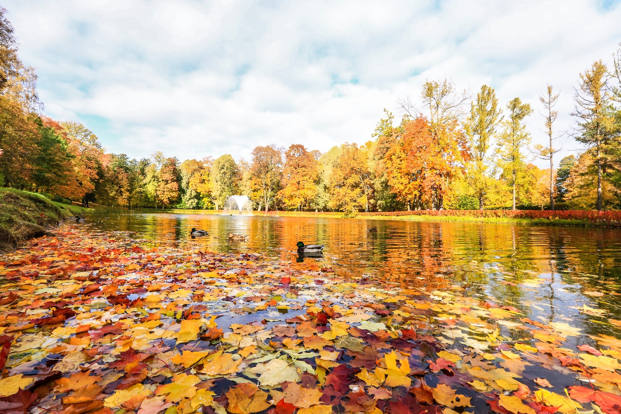 mùa thu ở Saint Petersburg ảnh 1 mua thu o Saint Petersburg anh 1