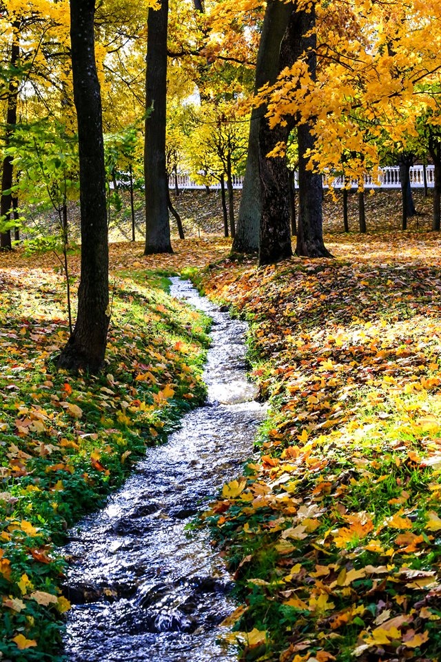 mùa thu ở Saint Petersburg ảnh 27 mua thu o Saint Petersburg anh 27