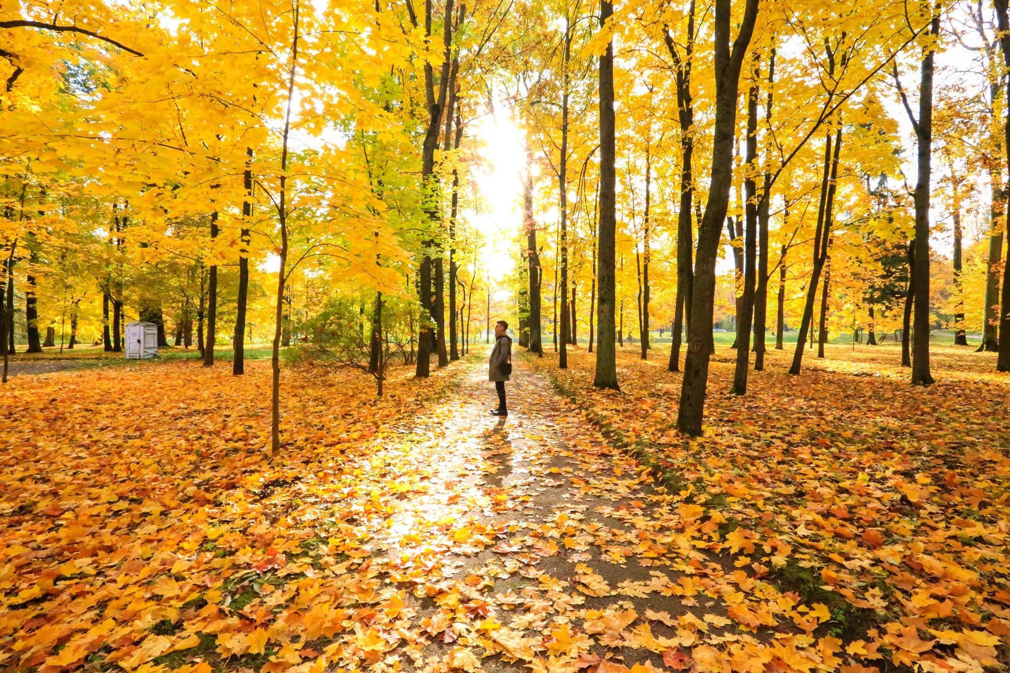 mùa thu ở Saint Petersburg ảnh 35 mua thu o Saint Petersburg anh 35