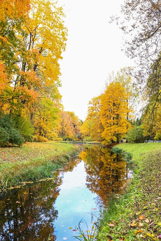 mùa thu ở Saint Petersburg ảnh 21 mua thu o Saint Petersburg anh 21