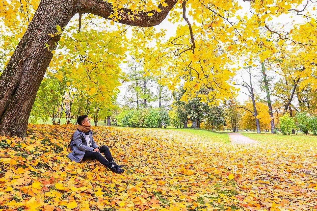 Nang thu nhuom vang co do nuoc Nga hinh anh