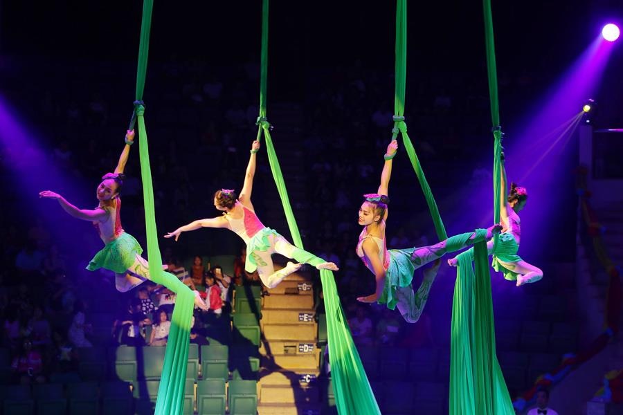 Hon 100 nghe si tham gia Lien hoan Xiec The gioi - Ha Long 2019 hinh anh