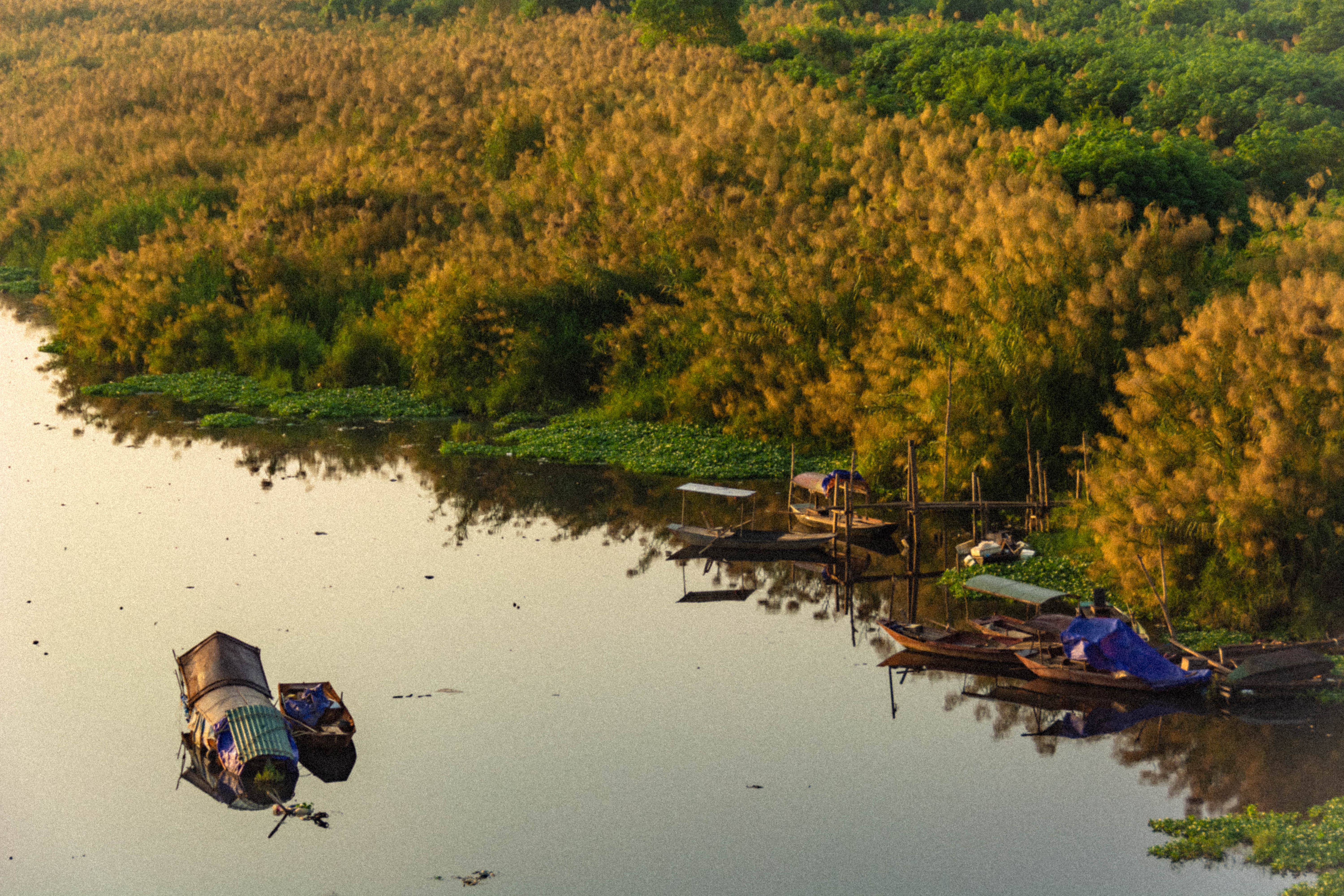 cầu Long Biên mùa cỏ lau ảnh 8 cau Long Bien mua co lau anh 8