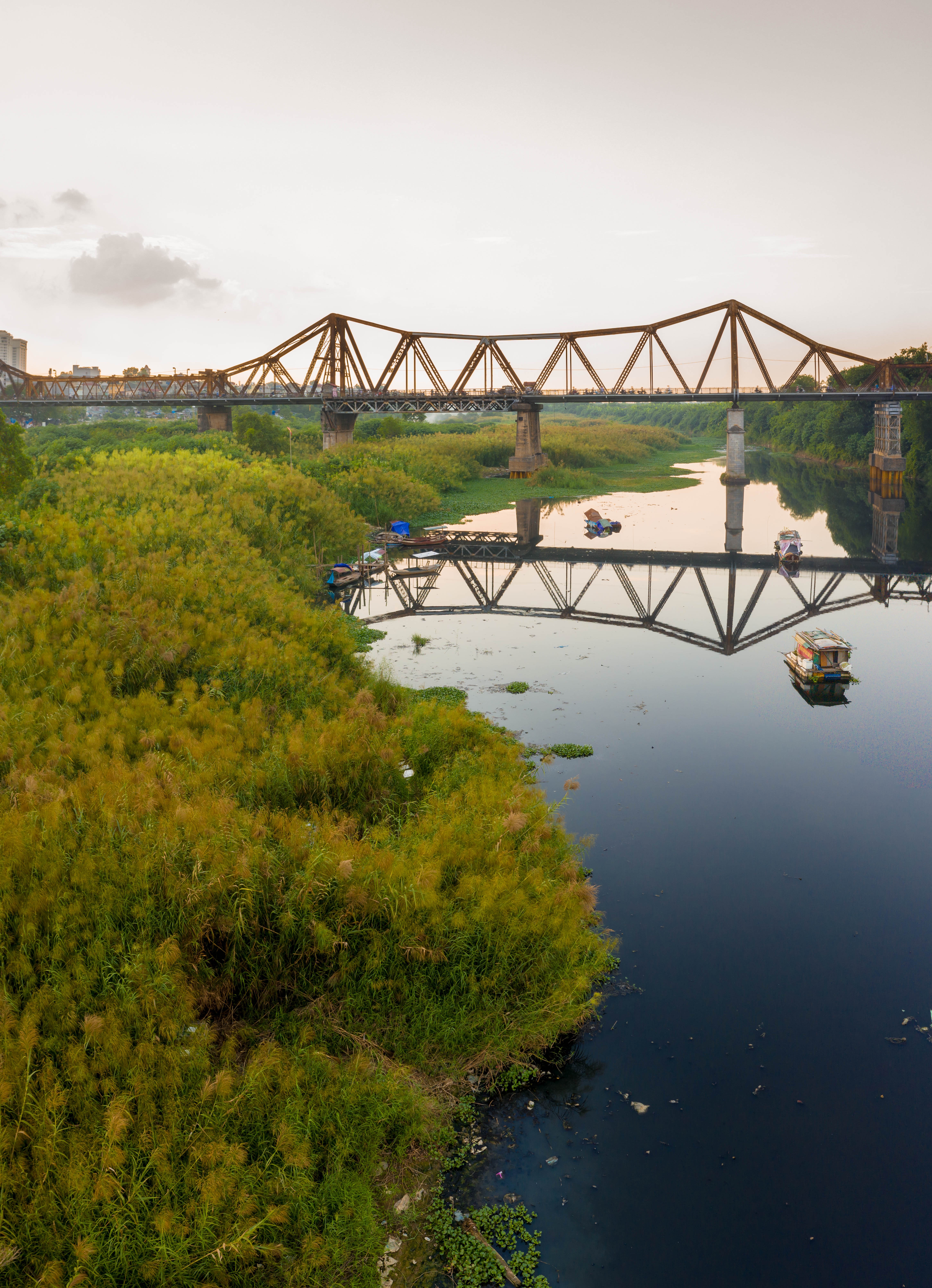cầu Long Biên mùa cỏ lau ảnh 6 cau Long Bien mua co lau anh 6