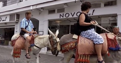 Cấm khách trên 80 kg cưỡi lừa ảnh 2 Cam khach tren 80 kg cuoi lua anh 2