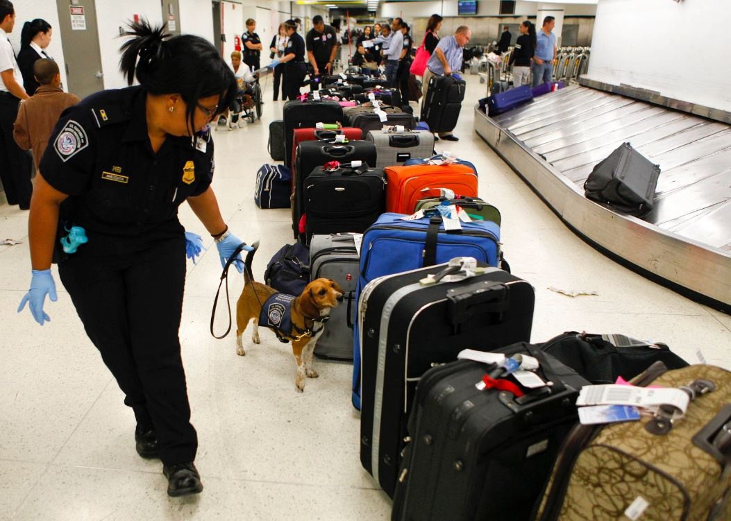 quy định mang vàng xuất nhập cảnh ảnh 2 quy dinh mang vang xuat nhap canh anh 2