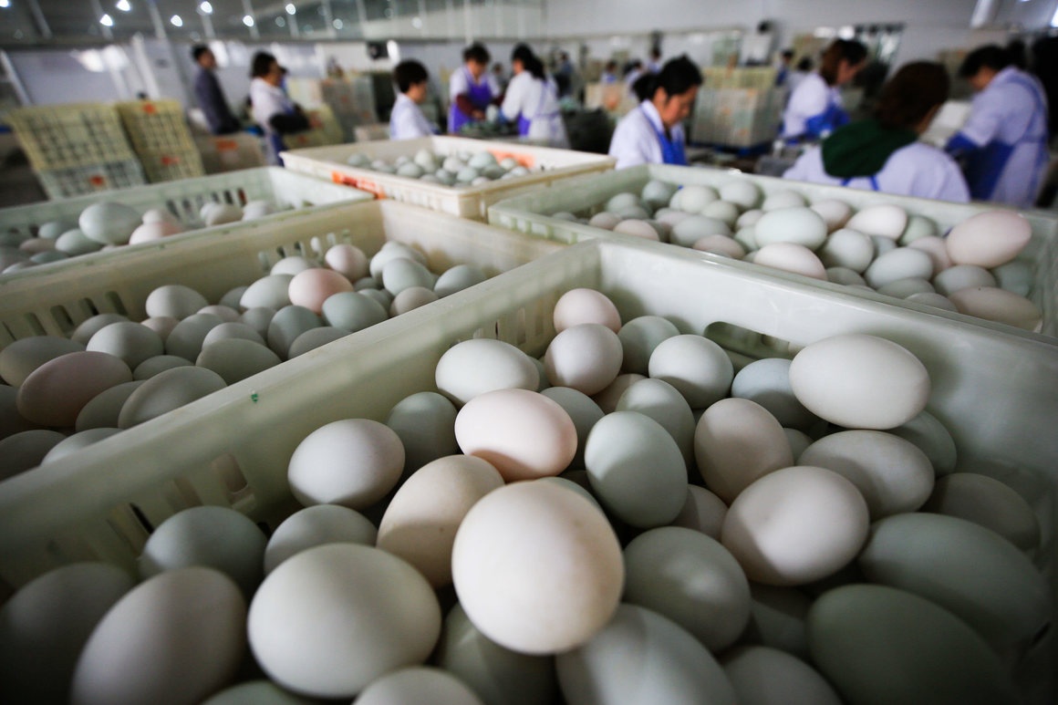 trung 2 long do anh 5