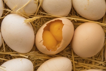 trung 2 long do anh 2