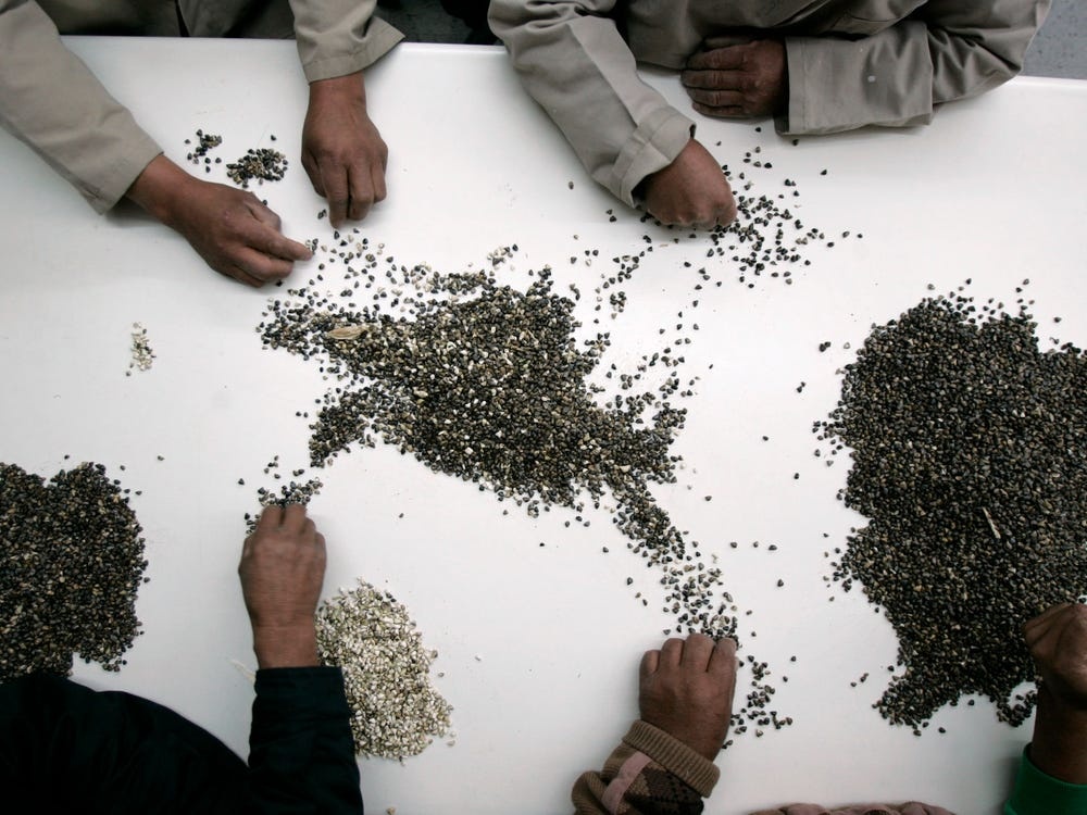 thi tran cuc bac the gioi Longyearbyen anh 9