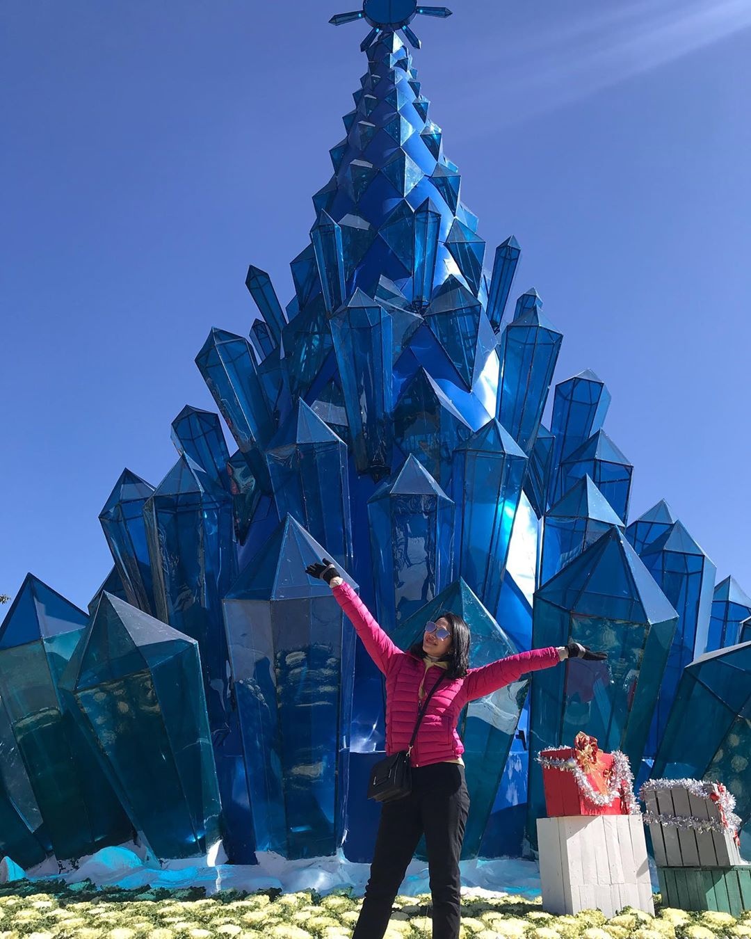 cay thong lap ky luc Viet Nam anh 1