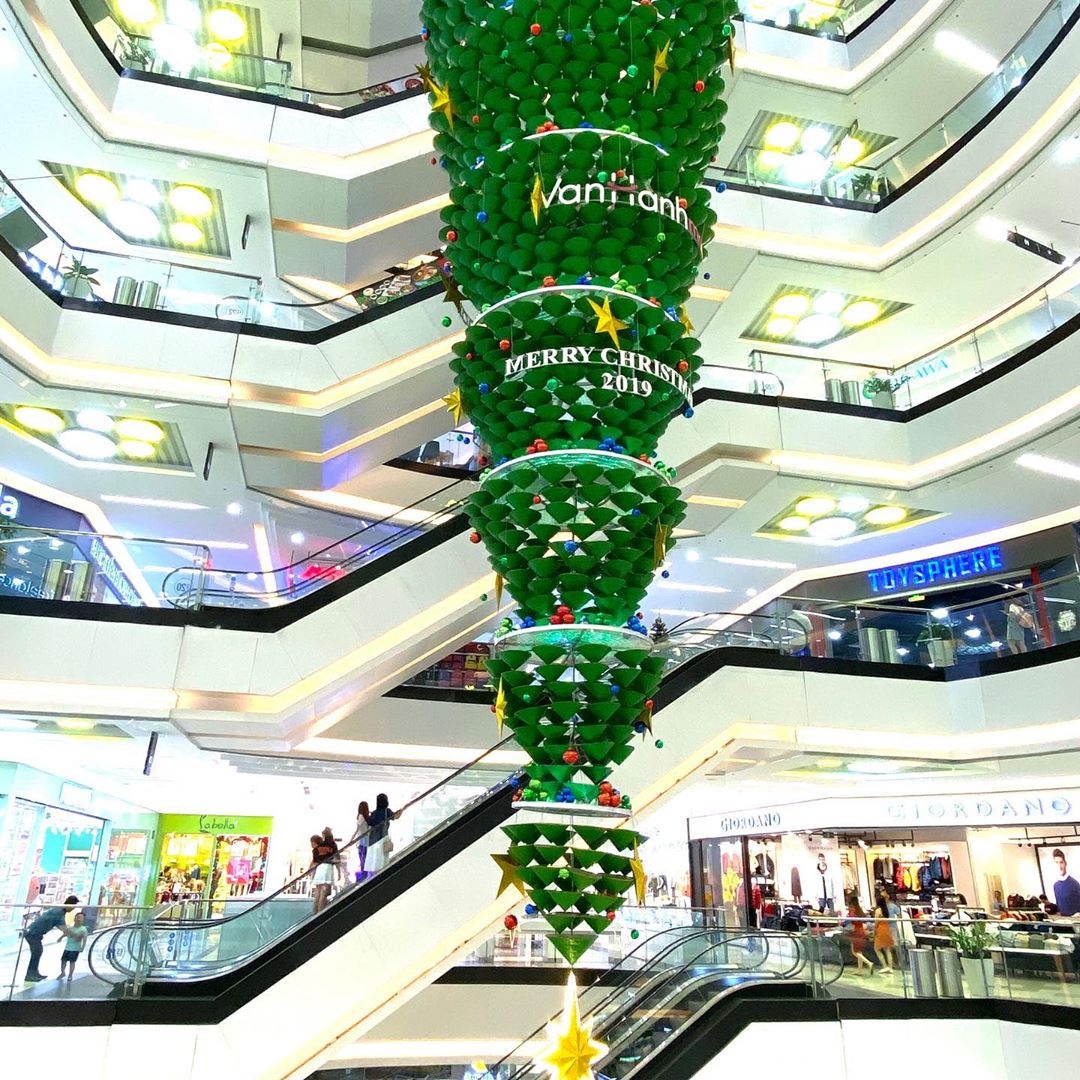 cay thong lap ky luc Viet Nam anh 3