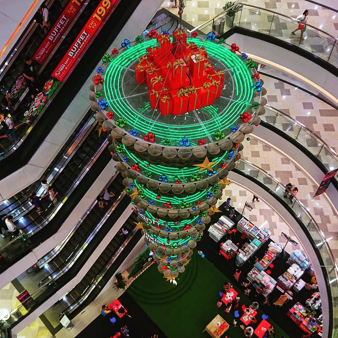 cay thong lap ky luc Viet Nam anh 5