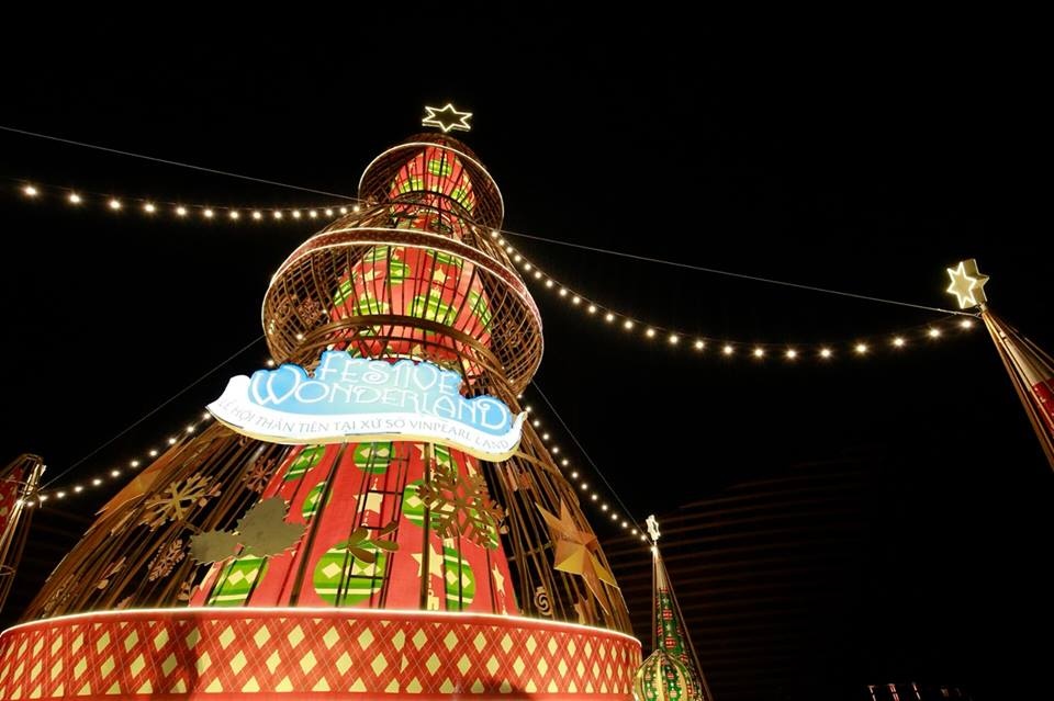 cay thong lap ky luc Viet Nam anh 7